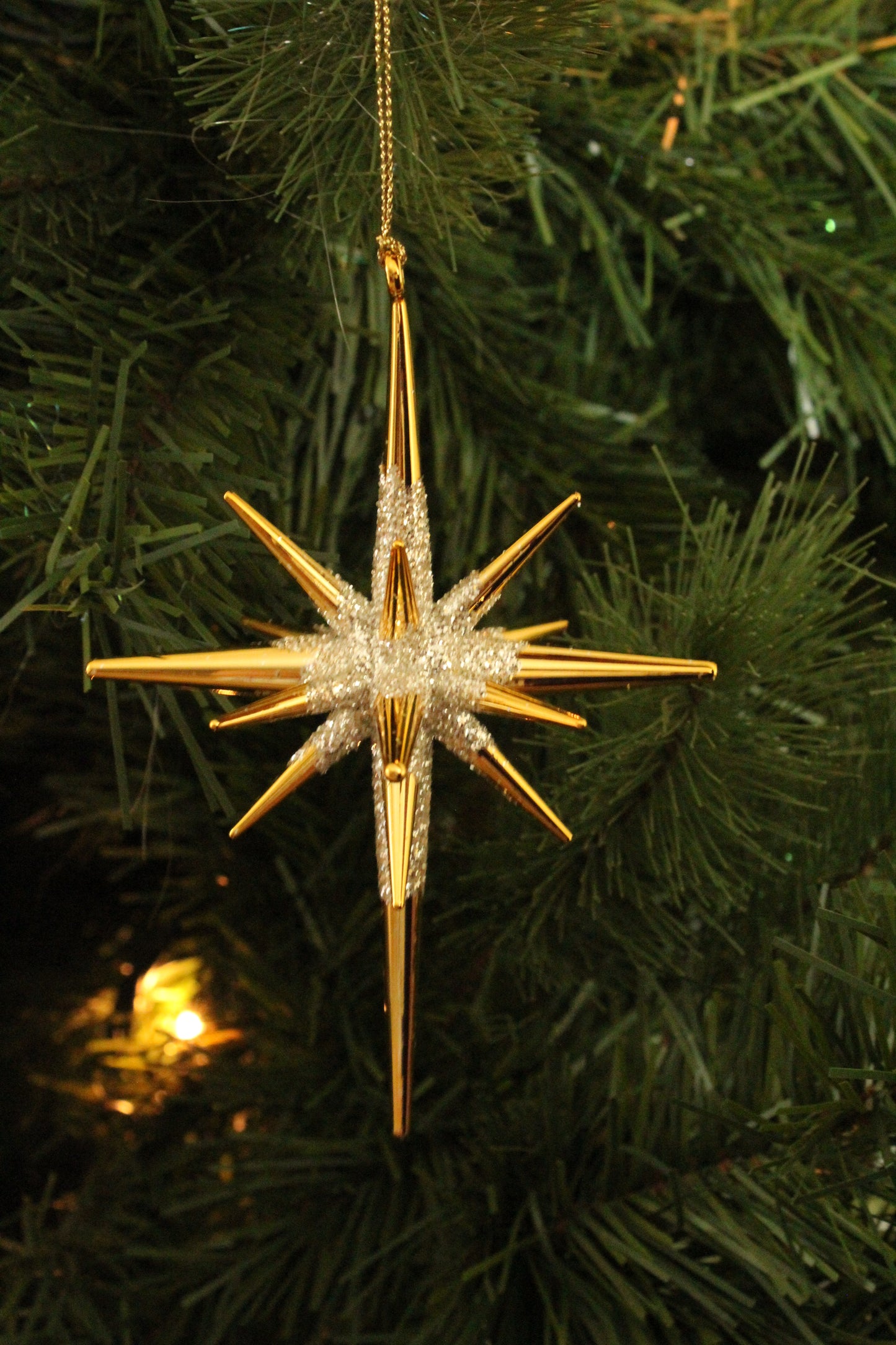 Ornament - Starburst