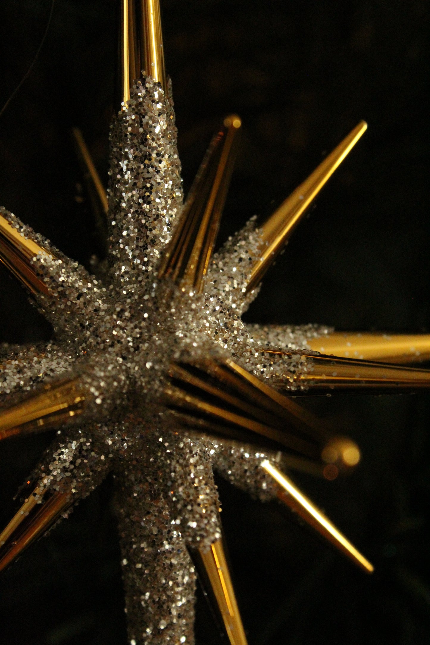 Ornament - Starburst