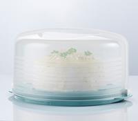Tupperware Cake Taker