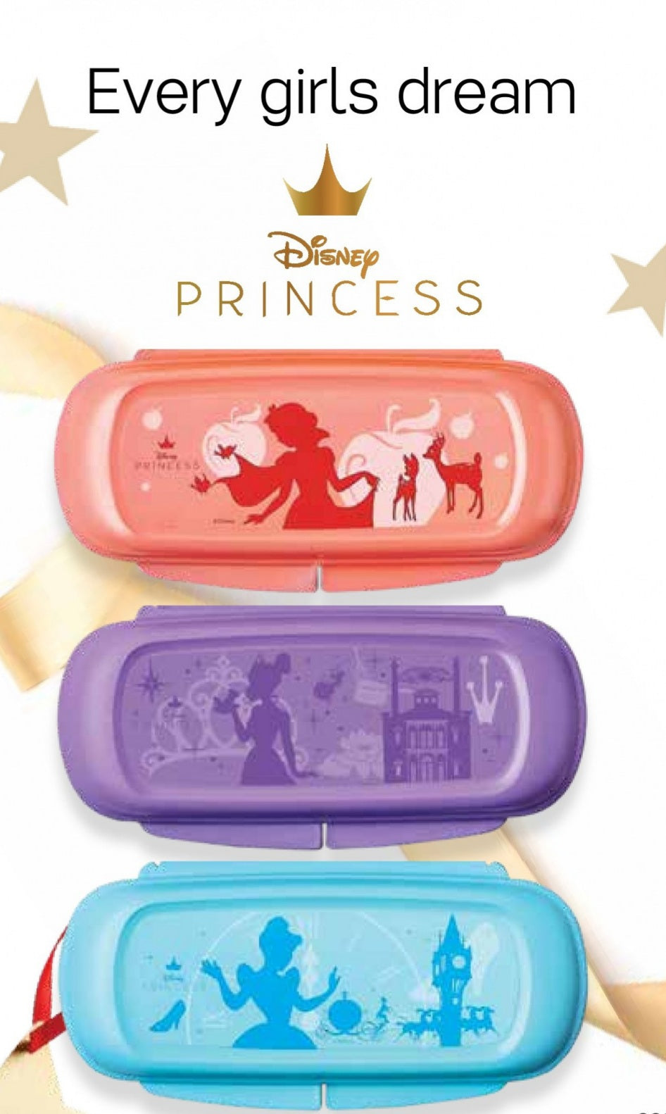 Tupperware Disney Princess Cases