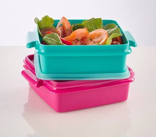 Tupperware Snack Set 850ml