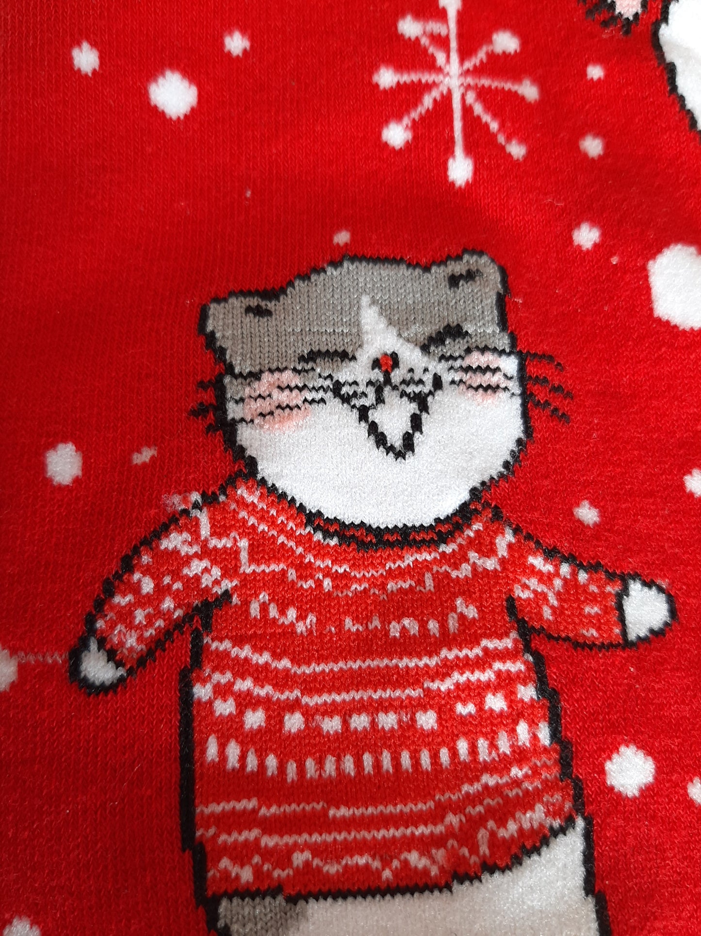 Christmas Socks - Cats on red (42 - 45)