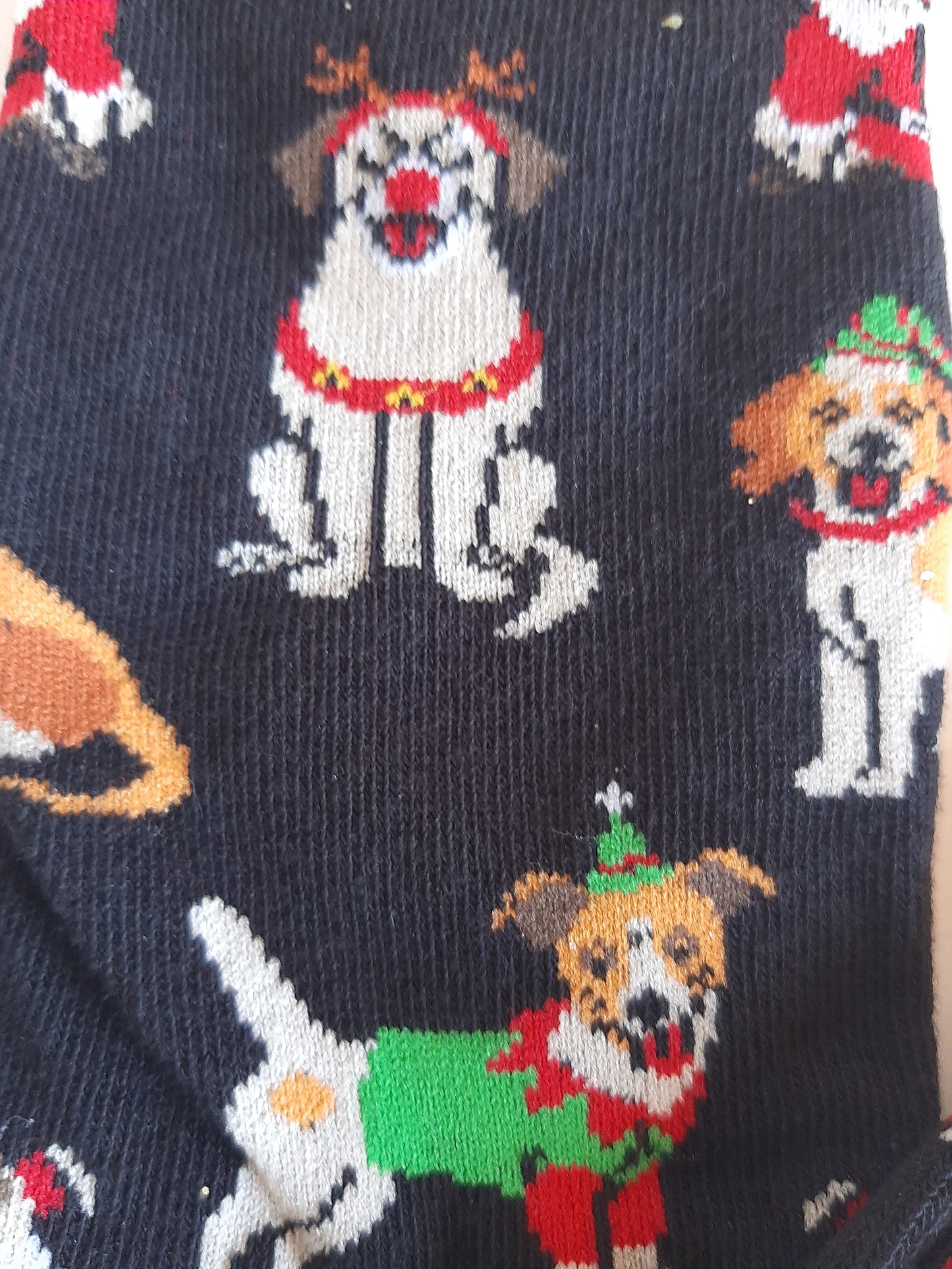 Christmas Socks - Mixed Doggy Christmas (39-42)