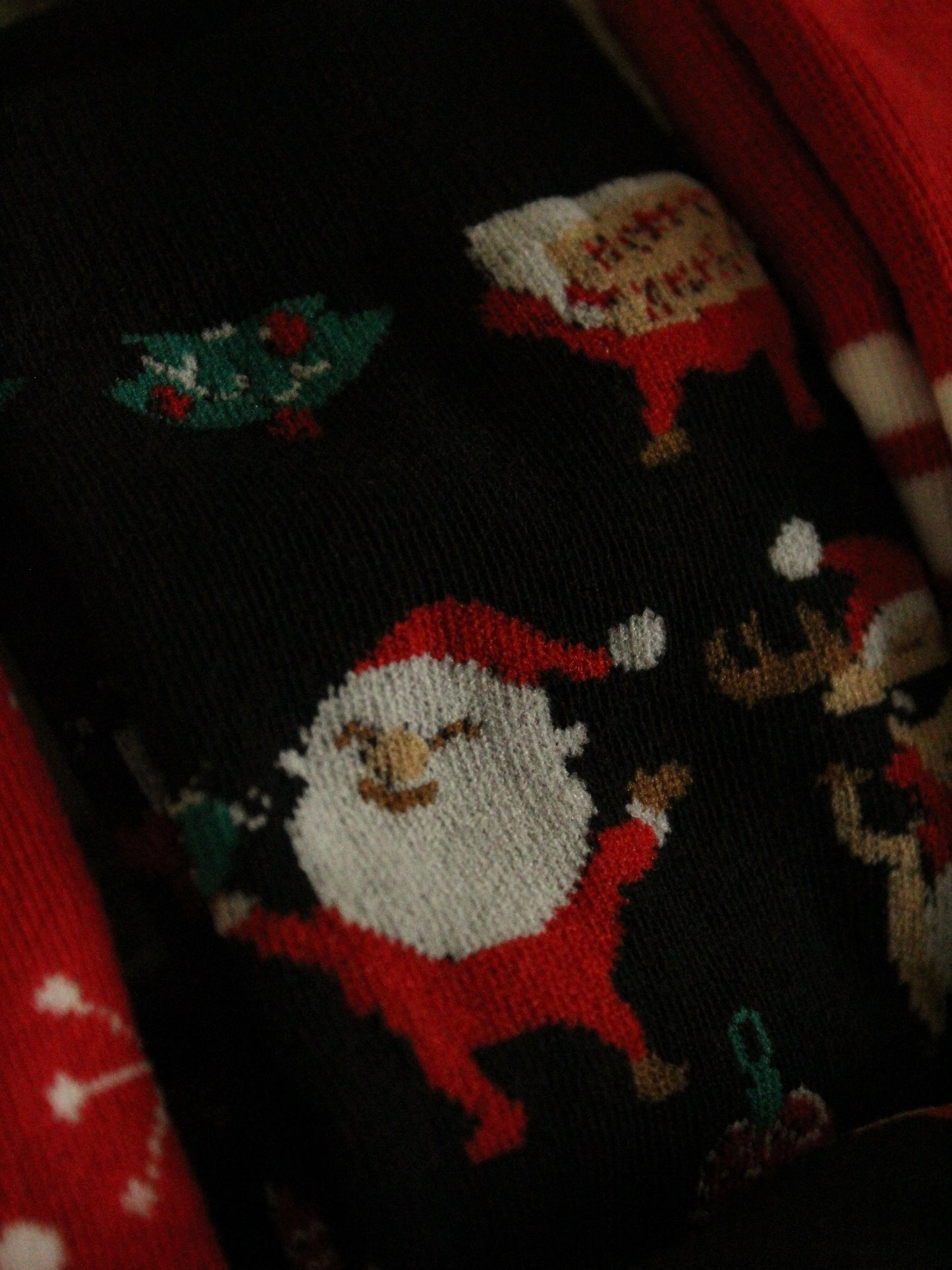 Christmas Socks - Santa & Dog (39-42)