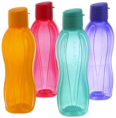 Eco Bottle 500ml Flip Top