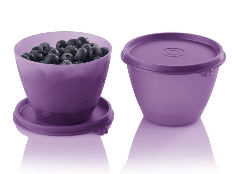 Tupperware Refrigerator bowl (450ml)