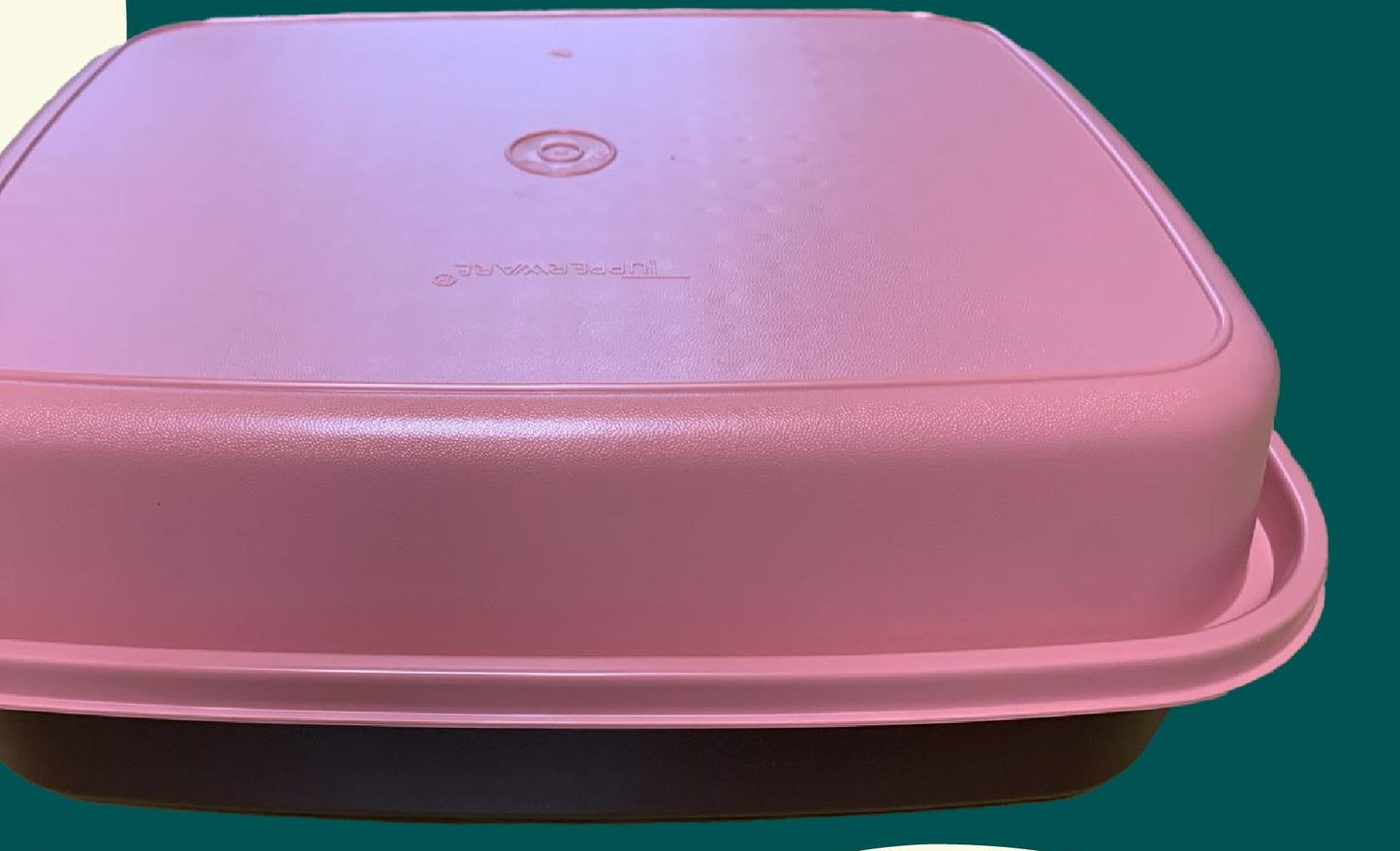 Marinade - Large (Color may vary)