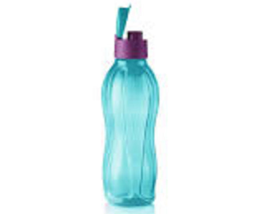 Eco Bottle 750ml Flip Top (diff colors)